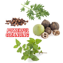 Parazide Clenz Herbals & Peppermint